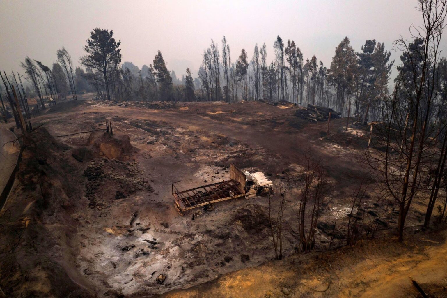 Incendios forestales: el círculo vicioso del cambio climático