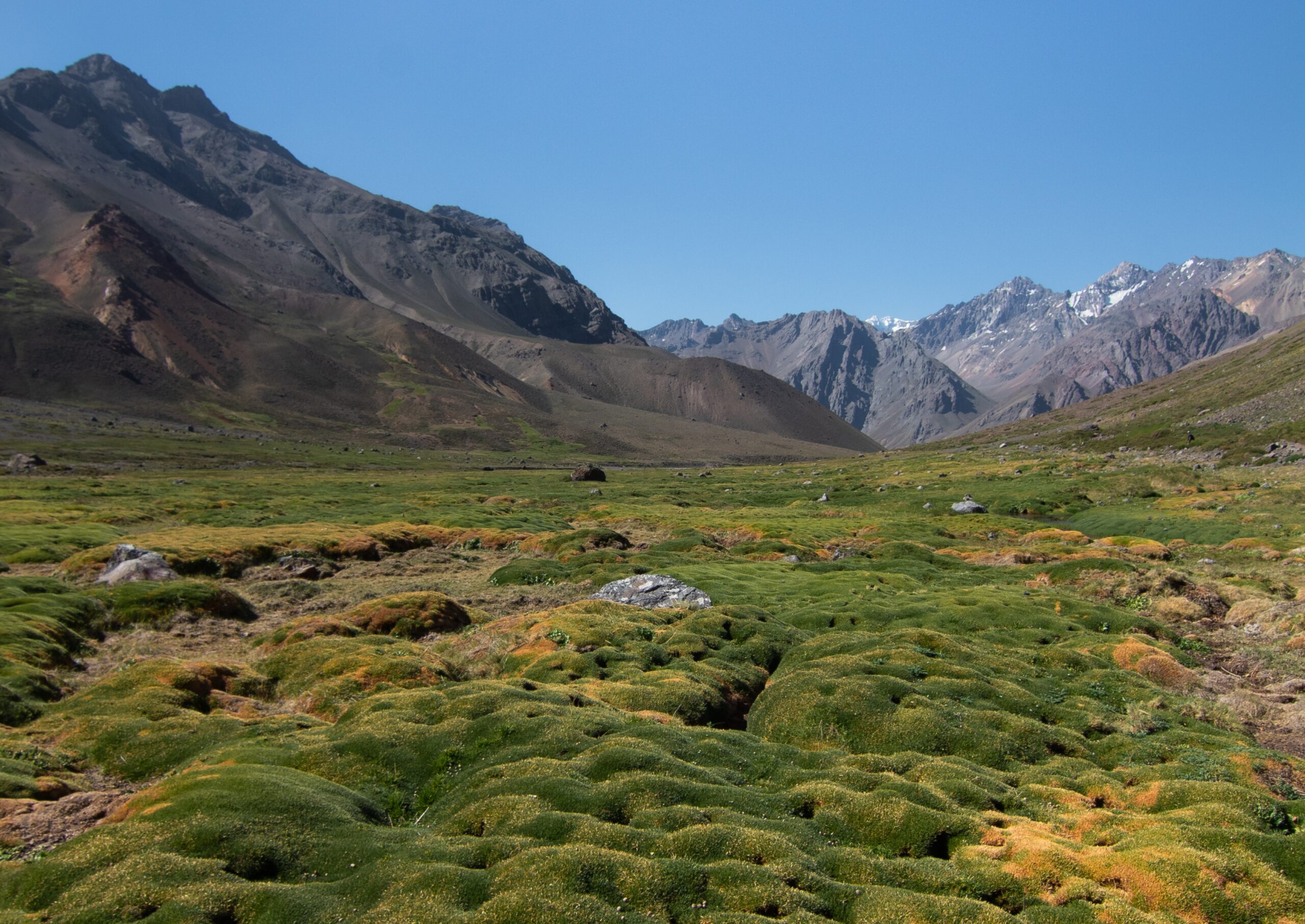 Soluciones basadas en la naturaleza: oportunidades en el norte de Chile